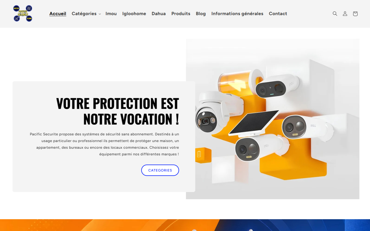 Capture du site pacificsecurite.nc
